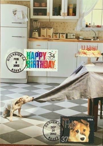 HNLP Hideaki Nakano Greeting Card Spay Neuter 3671 Dog Happy Birthday Smash 