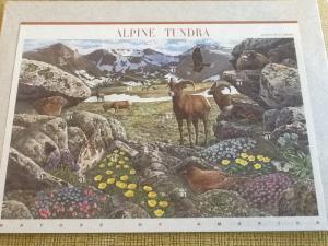 # 4198  Alpine Tundra