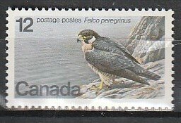 1978 Canada - Sc 752 - MNH VF - 1 single - Endangered Wildlife- Peregrine Falcon