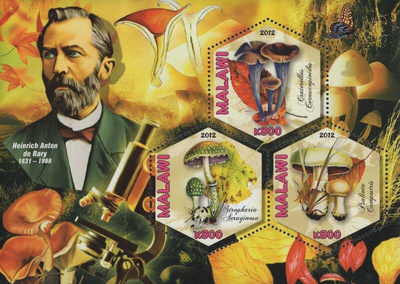 Mushrooms Mycologists Heinrich Anton de Bary Sov. Sheet of 3 Stamps MNH