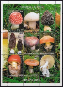 Benin 2002  MUSHROOMS-FUNGI Sheetlet (9) PERFORATED MNH  RARE !!