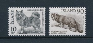 [41949] Iceland 1980 Pets dog Wild life wolf  MNH