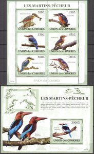 Comoro Islands 2009 Birds Kingfishers Sheet + S/S MNH