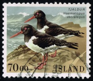 Iceland #644 Oystercatcher Birds; Used