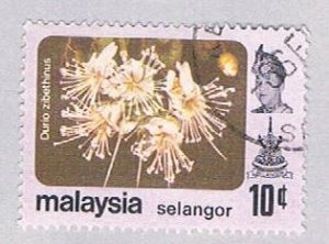 Malaysia Selangor 138 Used Durio zibethinus (BP24610)