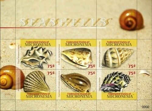 Micronesia 2009 - Sea Shells - Sheet of 6 Stamps - Scott #833 - MNH