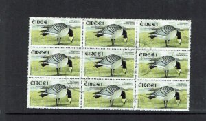 Ireland: 1997  €1  Greenland White Fronted Goose, block x 9 Fine Used.