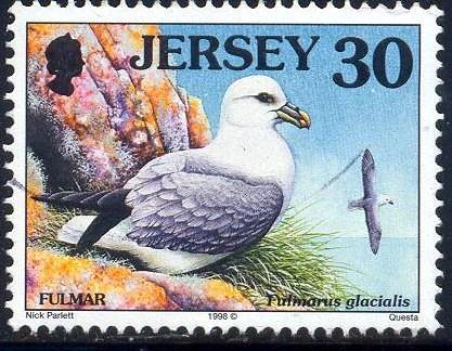 Bird, Fulmar, Jersey stamp SC#829 used