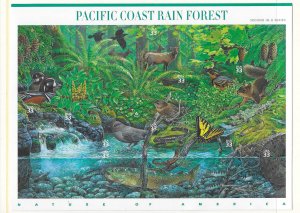 US #3378 2000 PACIFIC COAST RAIN FOREST-PANE OF 10 33C STAMPS- MINT NEVER HINGED