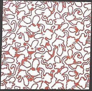 # 5280 Used Peace Rose