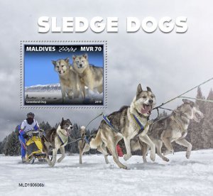 Maldives 2019 MNH Sled Dogs Stamps Greenland Dog 1v S/S
