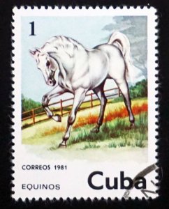 CUBA Sc# 2433 HORSES HORSES HORSES  1c  1981 used cto