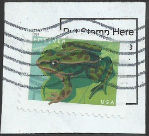 # 5396 Used Northern Leopard Frog