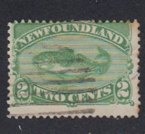 Newfoundland - 1880 - SC 46 - Used