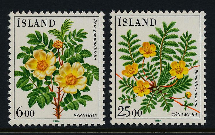 Iceland 586-7 MNH Flowers