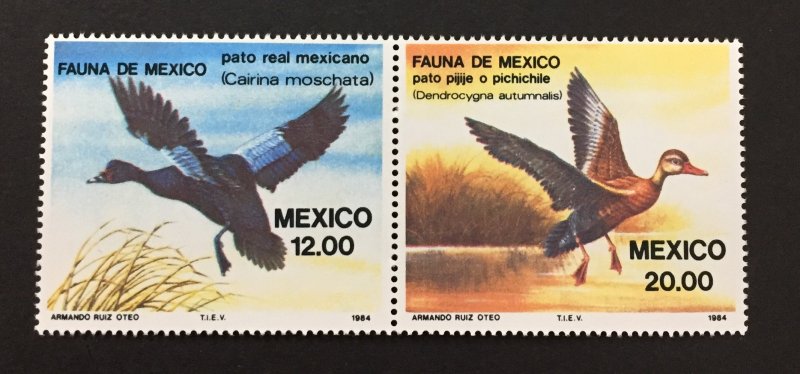 Mexico 1984 #1347-8, Aquatic Birds, MNH.