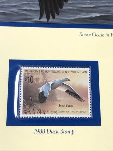 1988 Duck Stamp First Day of Issue Folio with Mint Duck Stamp  