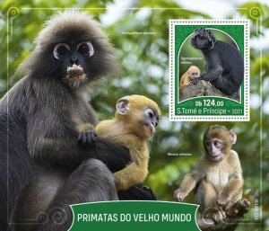 Sao Tome & Principe 2021 MNH Wild Animals Stamps Old World Monkeys 1v S/S