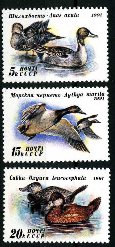 Russia 1991 - Scott 6009, 6010 & 6011 MNH - Ducks 