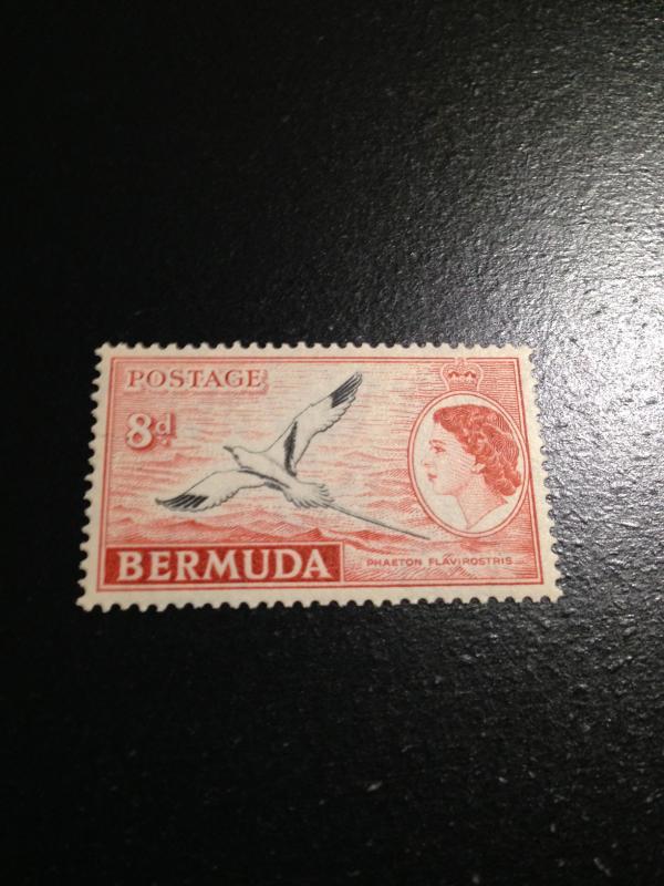 Bermuda sc 153 MNH