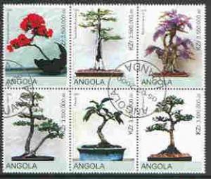 ANGOLA SHEET USED BONSAI