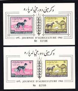Afghanistan 492-93 MNH 1961 Afghan Hound Horse Sheep & Camel Perf & IMPERF SS