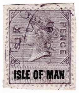 (I.B) QV Revenue : Isle of Man 6d (1889)