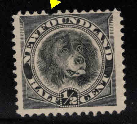 NEWFOUNDLAND Scott 58  Dog stamp , pulled perf at top, mint no gum