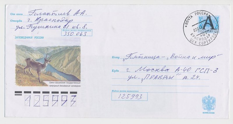 Postal stationery Rossija 1999 Ibex - Goat