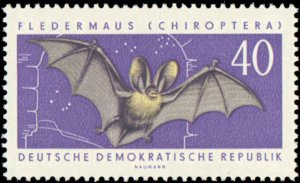 Germany DDR  #591-594, Complete Set(4), 1962, Insects, Bats, Animals, Never H...