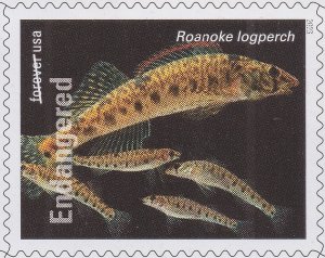 US 5795c Endangered Species Roanoke Logperch forever single MNH 2023 May 25 