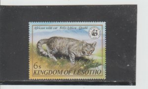 Lesotho  Scott#  351  MNH  (1982 African Wild Cat)