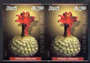 Peru 2004 Cacti 1s20 Eriosyce islayensis imperf pair unmo...