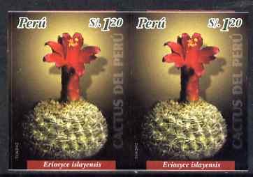 Peru 2004 Cacti 1s20 Eriosyce islayensis imperf pair unmo...