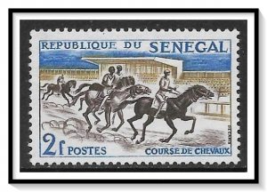 Senegal #204 Horse Race NG