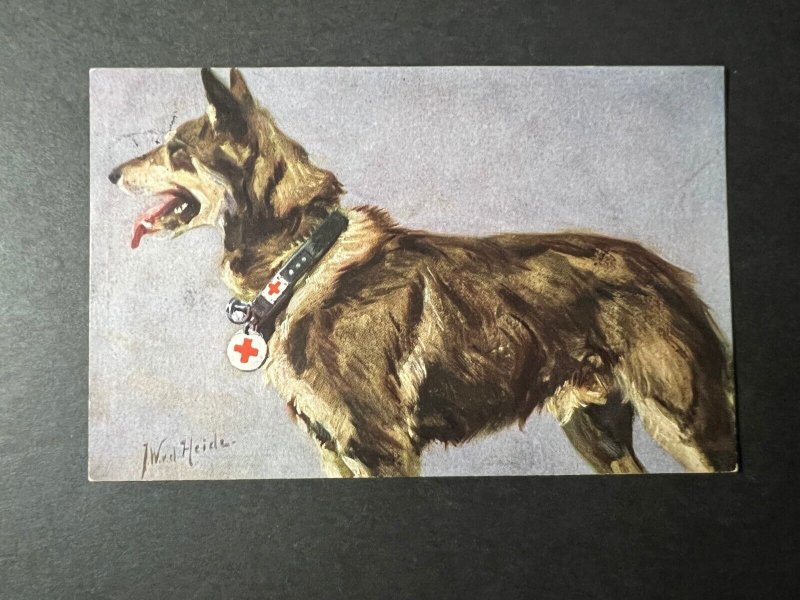 1916 Germany WWI Postcard Cover Badenhausen Military Medic Dog Soldier