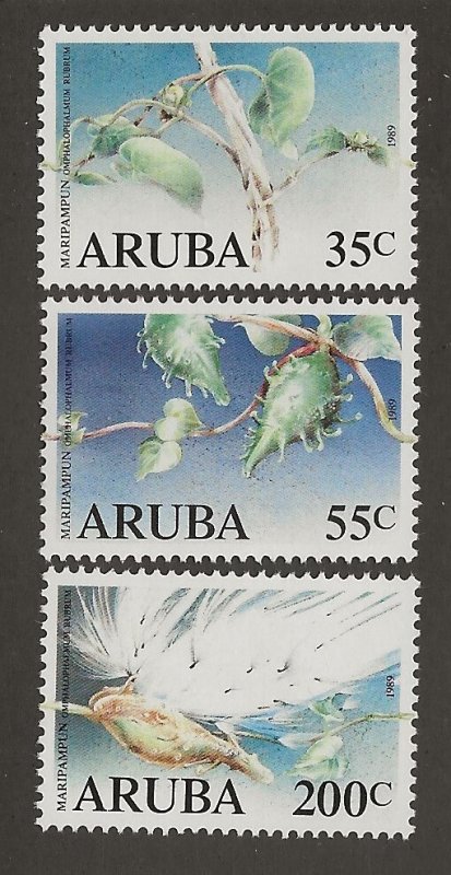 ARUBA   SC #   43 - 5  MNH