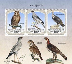 Chad - 2021 Birds of Prey, Goshawk, Vulture - 3 Stamp Sheet - TCH210319a