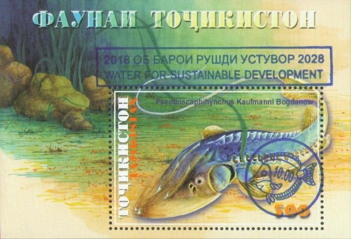 TADZHIKISTAN - 2018 - Fishes o/p - Perf Souv Sheet - MNH