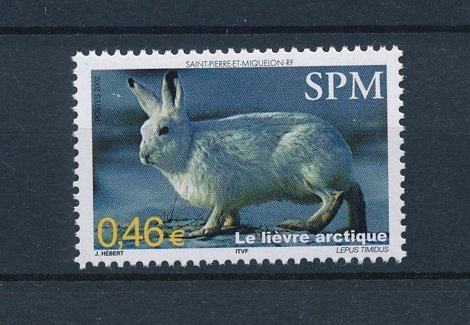 [34545] St. Pierre & Miquelon 2002 Animals Mammals Hare MNH