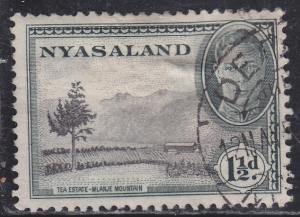 Nyasaland Protectorate 70 Tea Plantation 1945