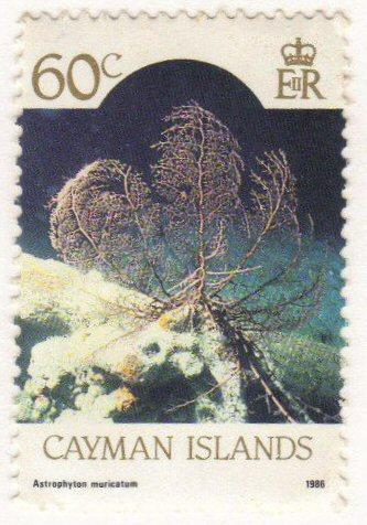 Cayman Islands #269 MLH - 60c coral