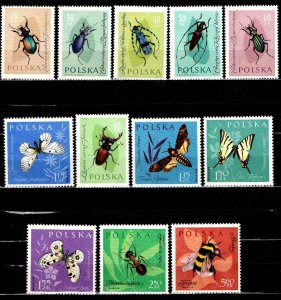 Poland 1961 MNH Stamps Scott 1029-1040 Protected Insects and Butterflies