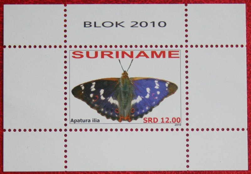 SURINAME 2010 Butterfly MNH Scott# - SG MS2469