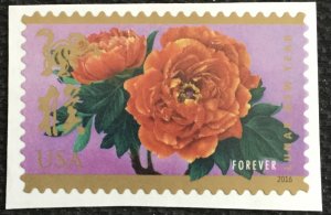 US MNH #5057 Single Chinese New Year (.49) SCV $1.00