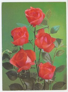 Postal stationery Cuba 1986 Flower - Rose