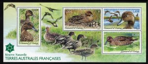 FRENCH ANTARCTIC 2013 Eaton's Pintail S/S; Scott 479, Yvert F649; MNH