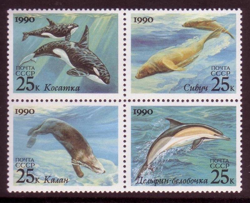 RUSSIA SC# 5933-5936 Marine animals MNH