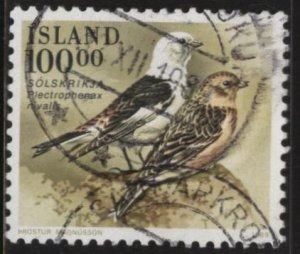 Iceland 672 (used) 100k snow bunting (Plectrophenax nivalis) (1989)