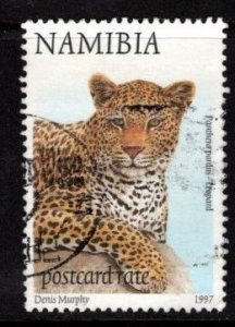 Nambia - #864 Leopard - Used